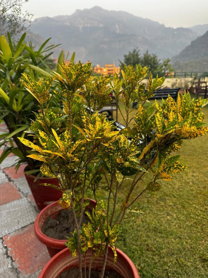Hotel Dewa Retreat- A Himalayan Boutique Hotel Rishīkesh Eksteriør bilde